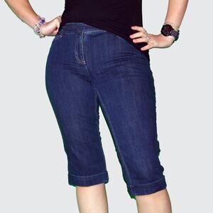 J. Jill 6 P Denim Bermuda Jean Shorts